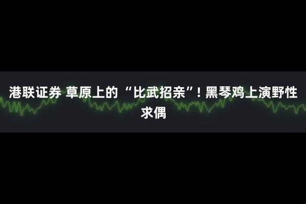 港联证券 草原上的 “比武招亲”! 黑琴鸡上演野性求偶
