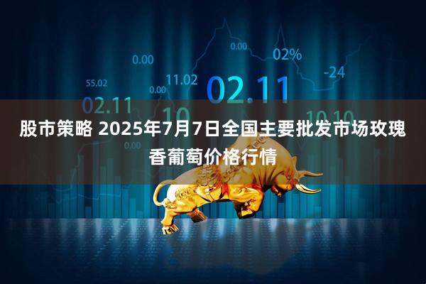 股市策略 2025年7月7日全国主要批发市场玫瑰香葡萄价格行情